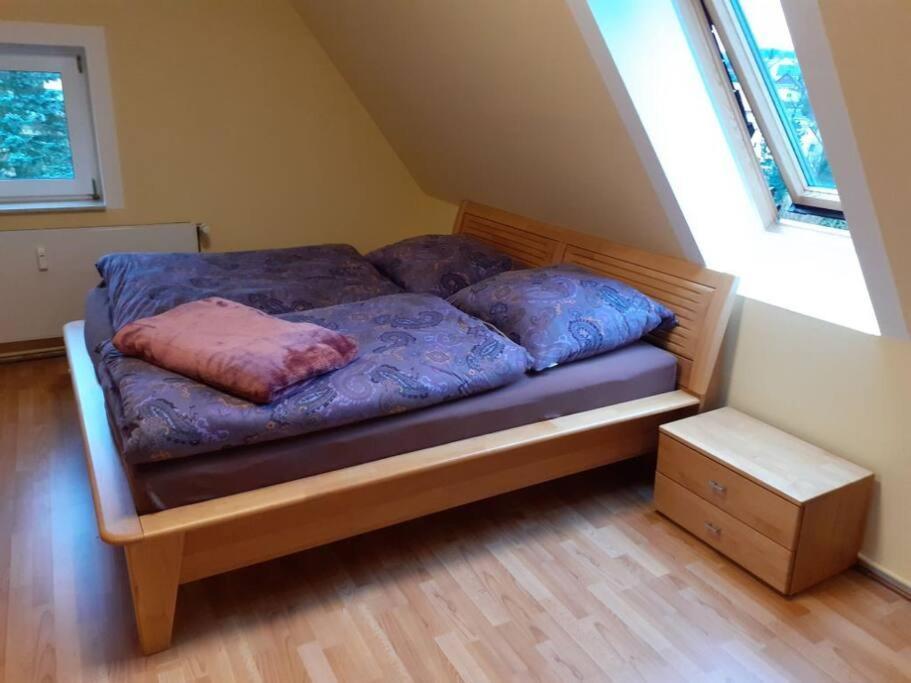 Schoene Und Ruhige Ferienwohnung In Ottendorf Sebnitz Dış mekan fotoğraf