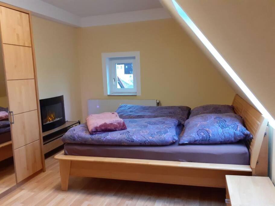 Schoene Und Ruhige Ferienwohnung In Ottendorf Sebnitz Dış mekan fotoğraf