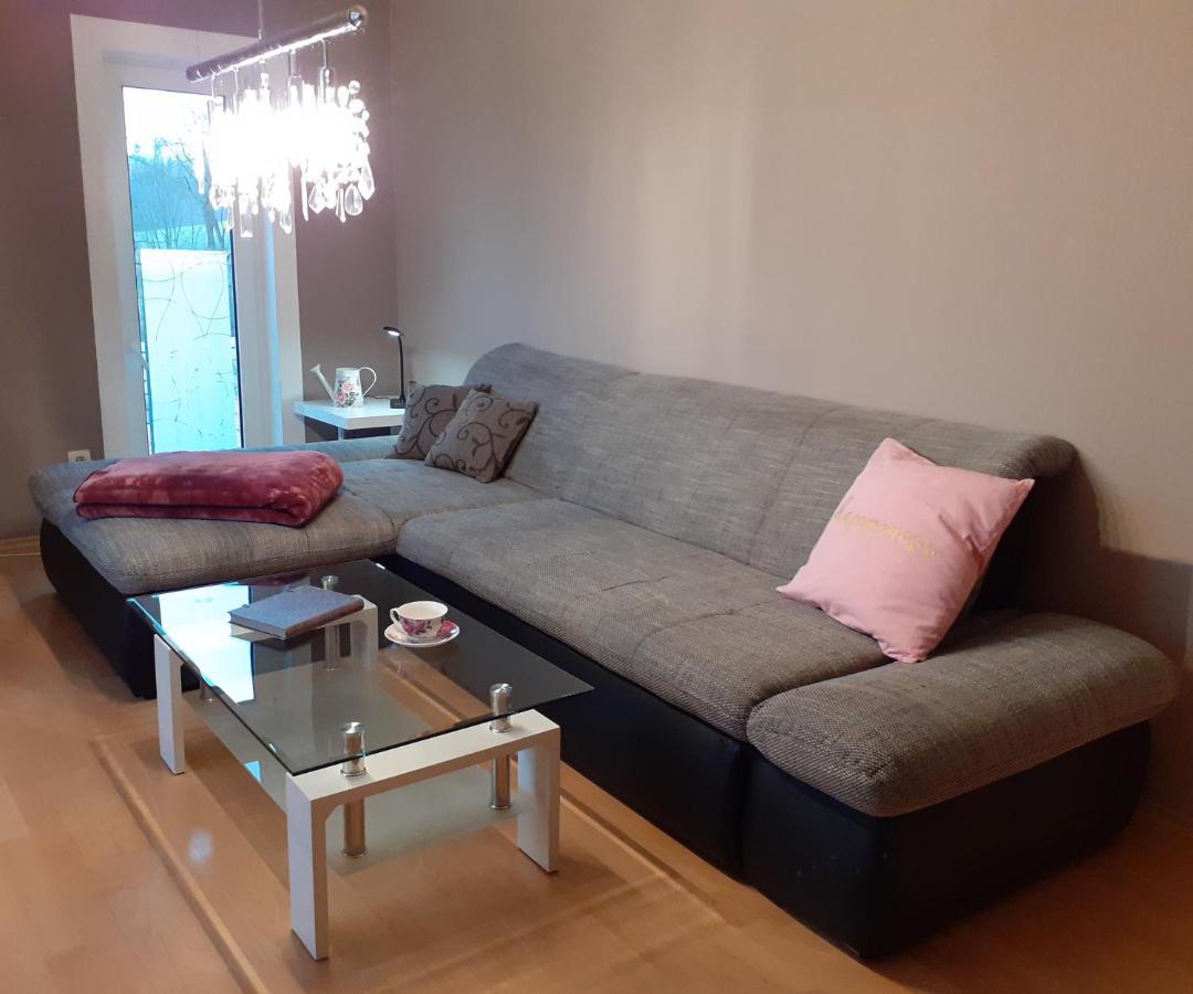 Schoene Und Ruhige Ferienwohnung In Ottendorf Sebnitz Dış mekan fotoğraf